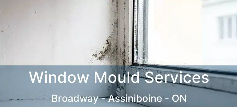  Window Mould Services Broadway - Assiniboine - ON