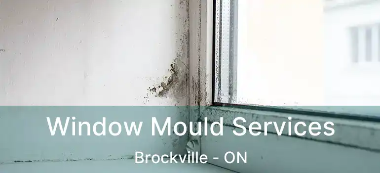  Window Mould Services Brockville - ON