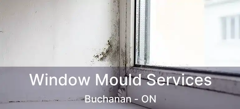  Window Mould Services Buchanan - ON