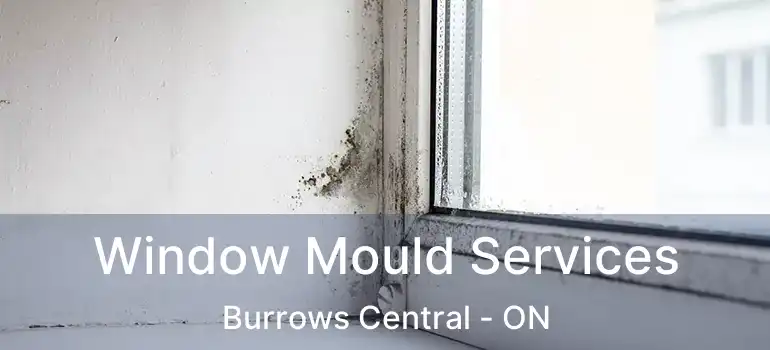  Window Mould Services Burrows Central - ON