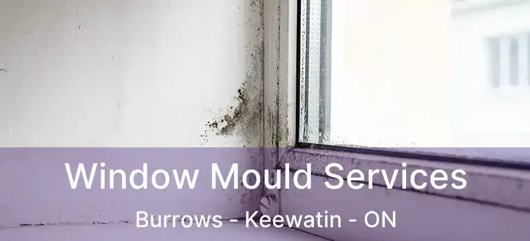  Window Mould Services Burrows - Keewatin - ON