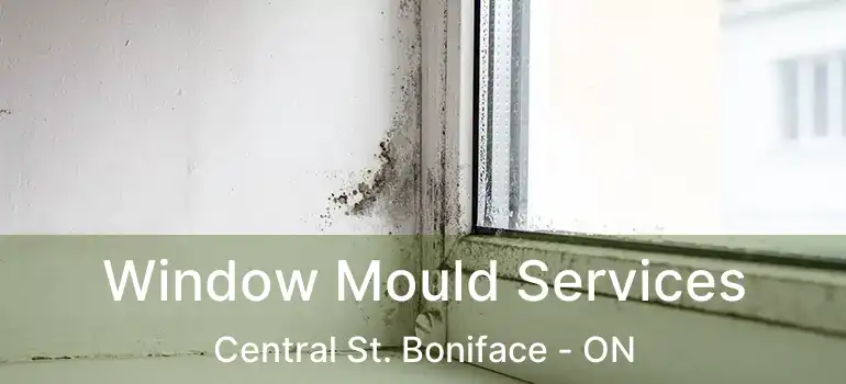  Window Mould Services Central St. Boniface - ON