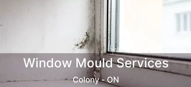  Window Mould Services Colony - ON