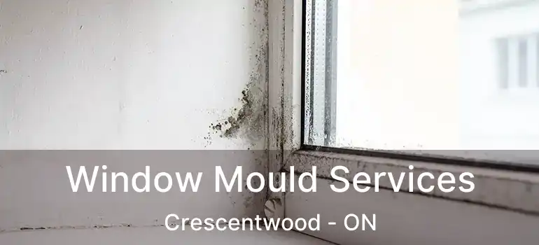  Window Mould Services Crescentwood - ON
