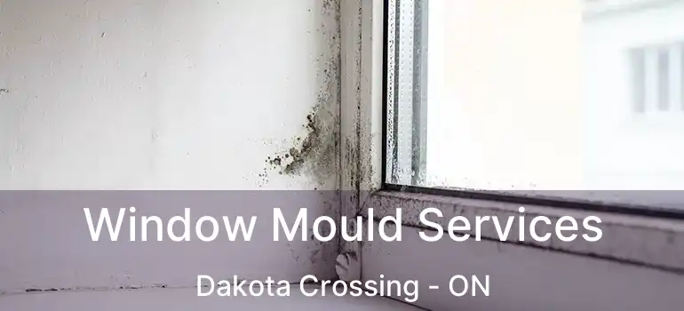  Window Mould Services Dakota Crossing - ON