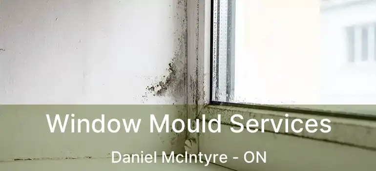 Window Mould Services Daniel McIntyre - ON