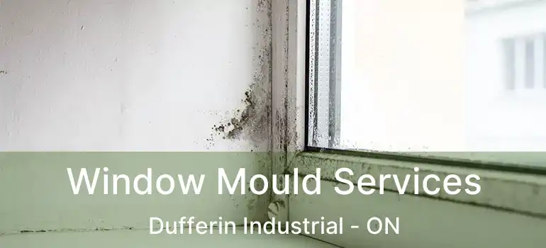  Window Mould Services Dufferin Industrial - ON