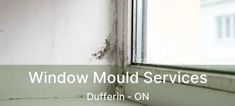  Window Mould Services Dufferin - ON