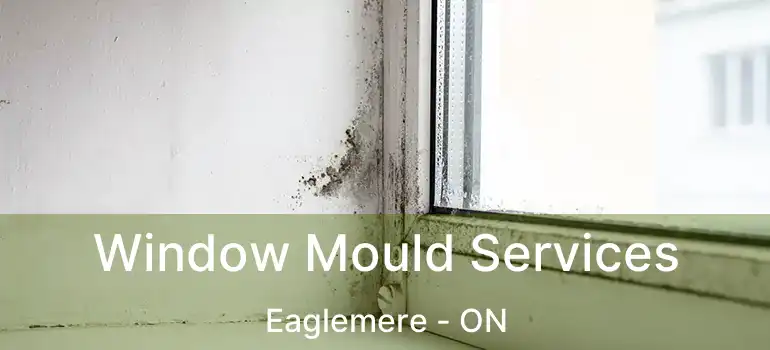 Window Mould Services Eaglemere - ON