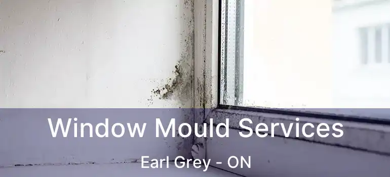  Window Mould Services Earl Grey - ON