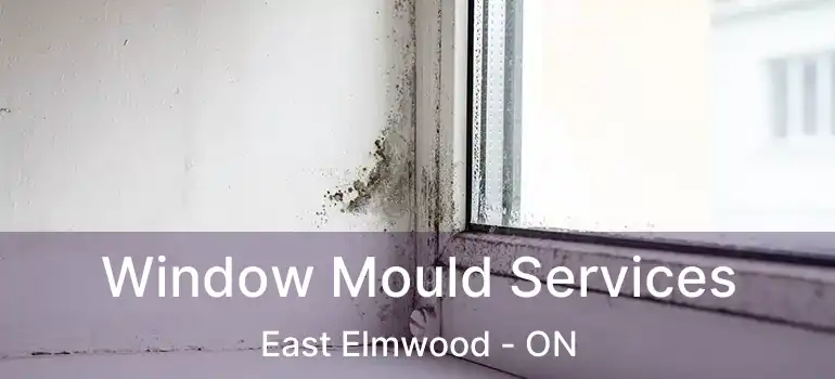 Window Mould Services East Elmwood - ON