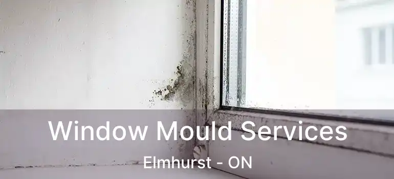  Window Mould Services Elmhurst - ON