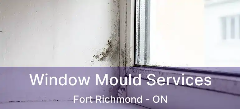 Window Mould Services Fort Richmond - ON