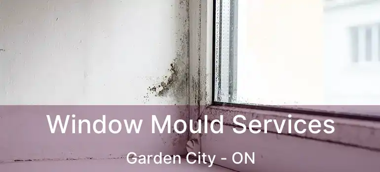  Window Mould Services Garden City - ON