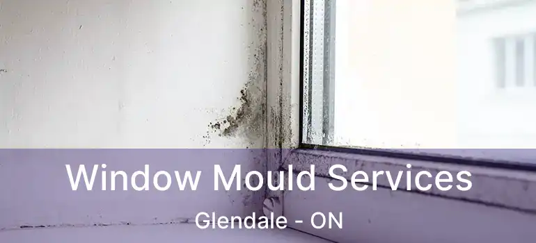  Window Mould Services Glendale - ON