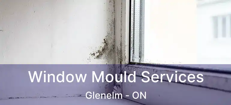  Window Mould Services Glenelm - ON
