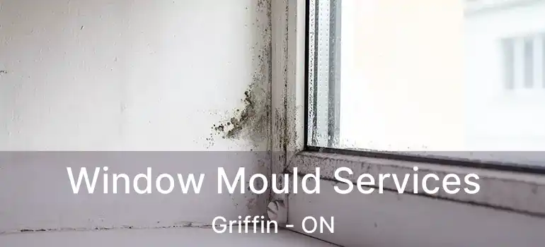  Window Mould Services Griffin - ON