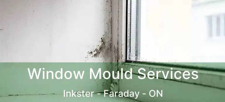  Window Mould Services Inkster - Faraday - ON