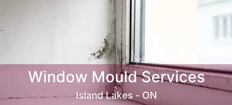  Window Mould Services Island Lakes - ON