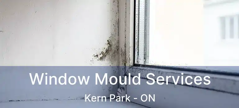  Window Mould Services Kern Park - ON
