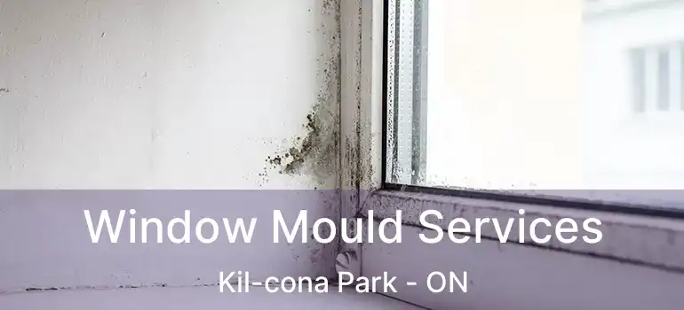  Window Mould Services Kil-cona Park - ON