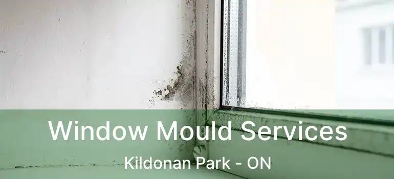  Window Mould Services Kildonan Park - ON