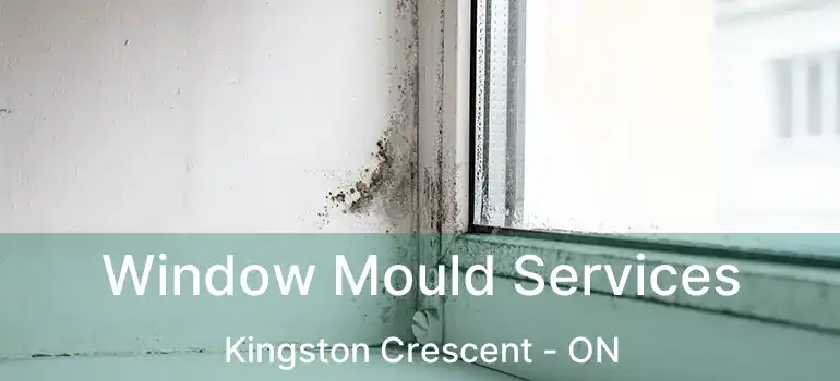  Window Mould Services Kingston Crescent - ON