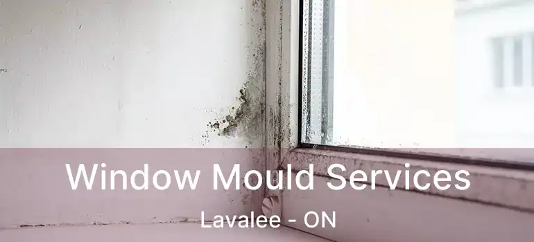  Window Mould Services Lavalee - ON