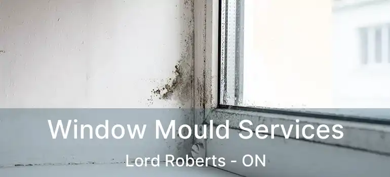  Window Mould Services Lord Roberts - ON