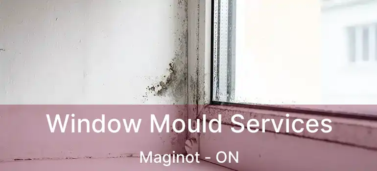  Window Mould Services Maginot - ON