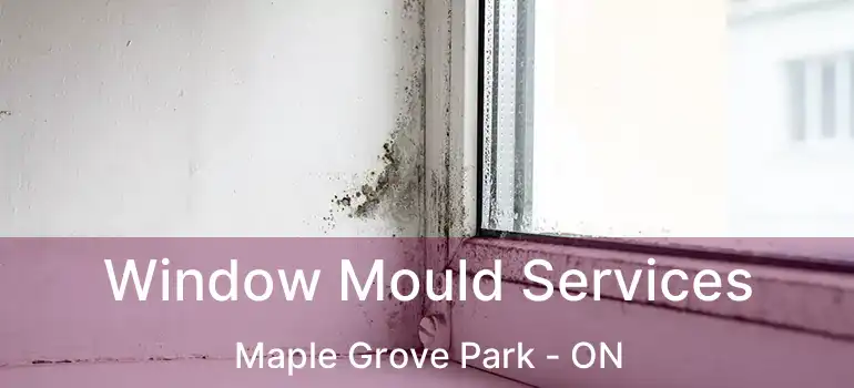  Window Mould Services Maple Grove Park - ON