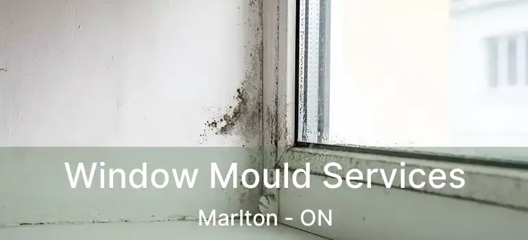  Window Mould Services Marlton - ON