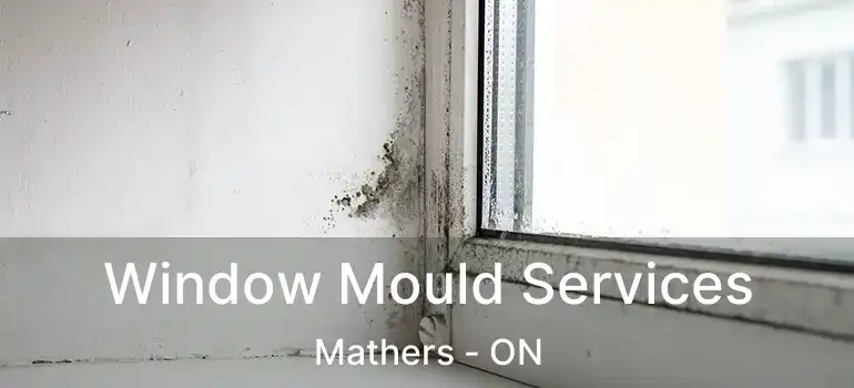  Window Mould Services Mathers - ON