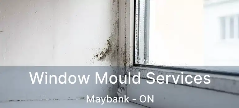  Window Mould Services Maybank - ON