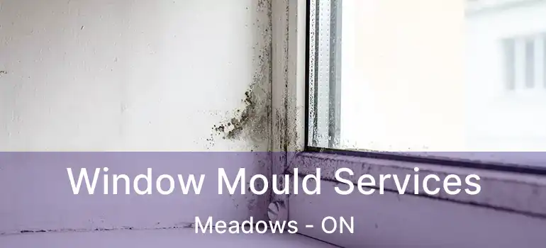  Window Mould Services Meadows - ON