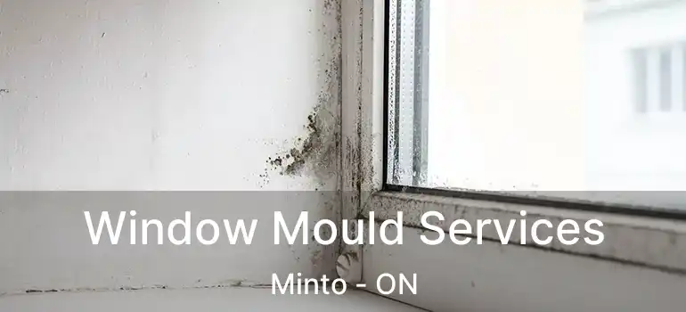  Window Mould Services Minto - ON
