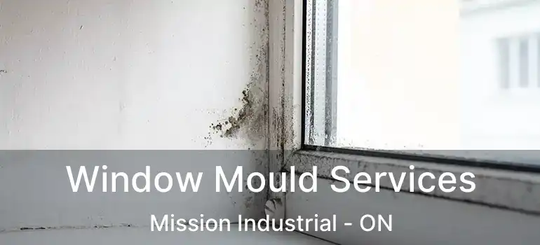  Window Mould Services Mission Industrial - ON