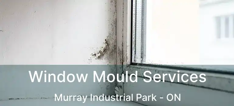  Window Mould Services Murray Industrial Park - ON