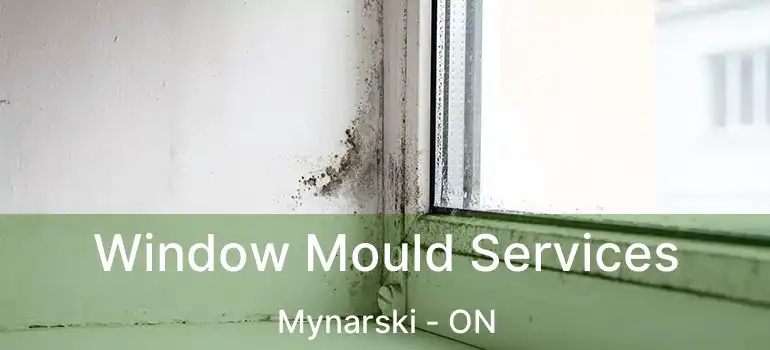  Window Mould Services Mynarski - ON