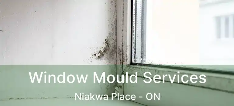  Window Mould Services Niakwa Place - ON