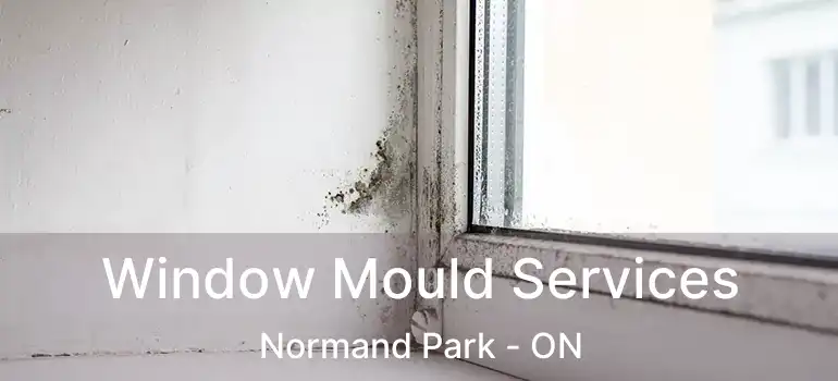  Window Mould Services Normand Park - ON
