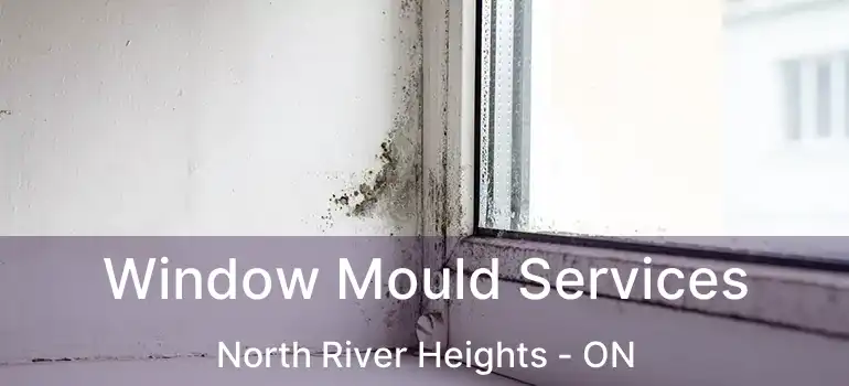  Window Mould Services North River Heights - ON