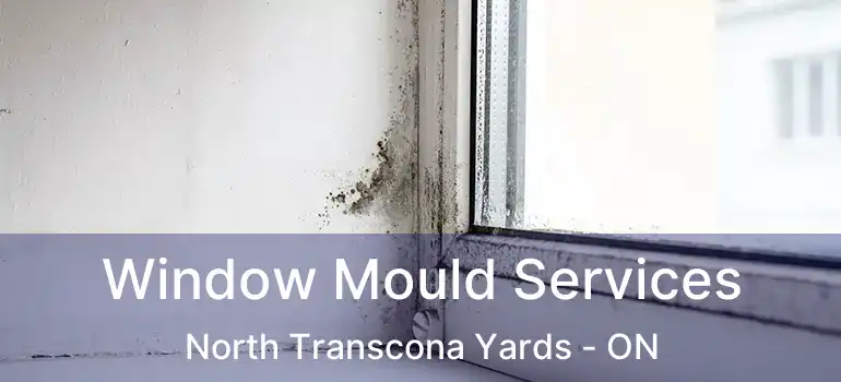  Window Mould Services North Transcona Yards - ON