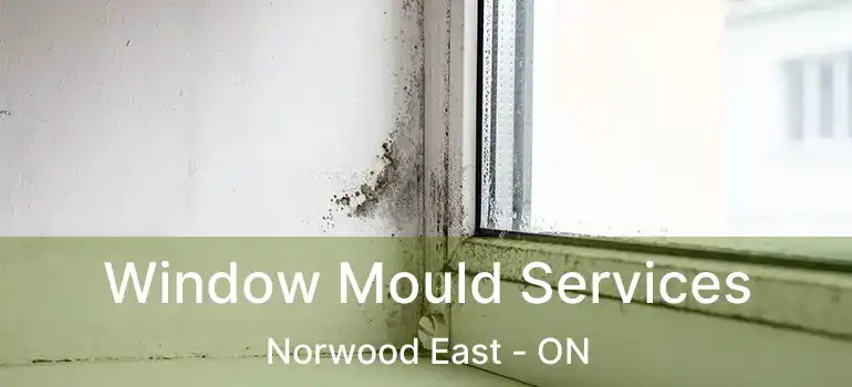  Window Mould Services Norwood East - ON