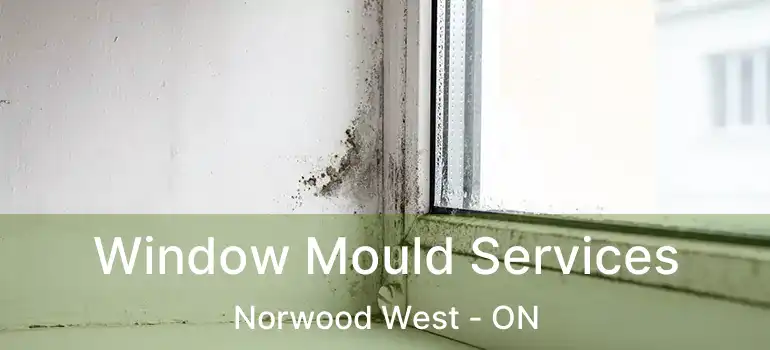  Window Mould Services Norwood West - ON