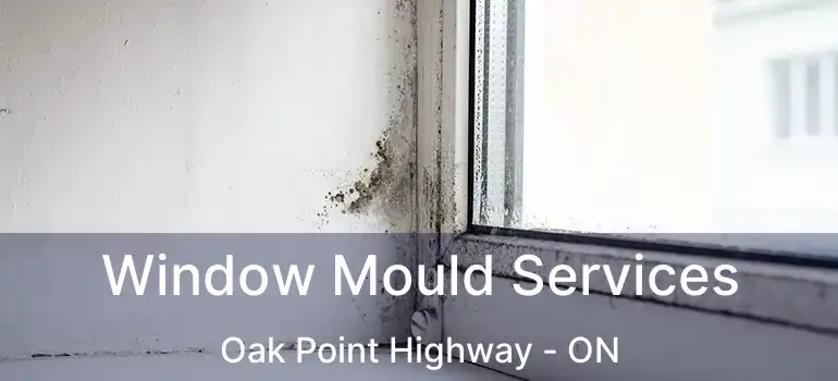  Window Mould Services Oak Point Highway - ON