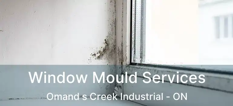  Window Mould Services Omand s Creek Industrial - ON