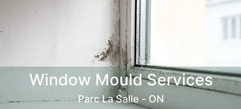  Window Mould Services Parc La Salle - ON