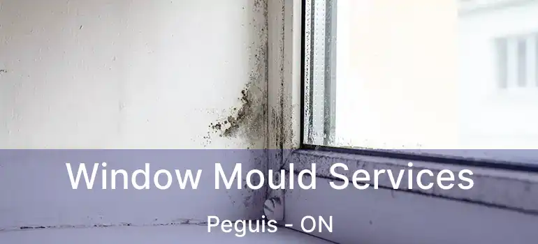  Window Mould Services Peguis - ON