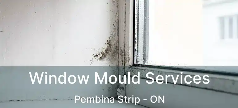  Window Mould Services Pembina Strip - ON